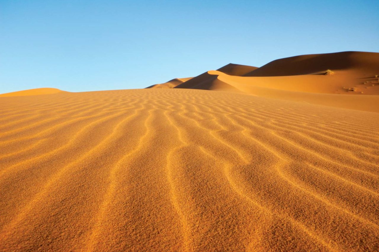 Il Sahara Era Una Distesa Verde Ecco Perch Si Trasformato In Deserto