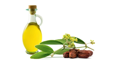 Olio di Jojoba: un elisir di bellezza tutto al naturale