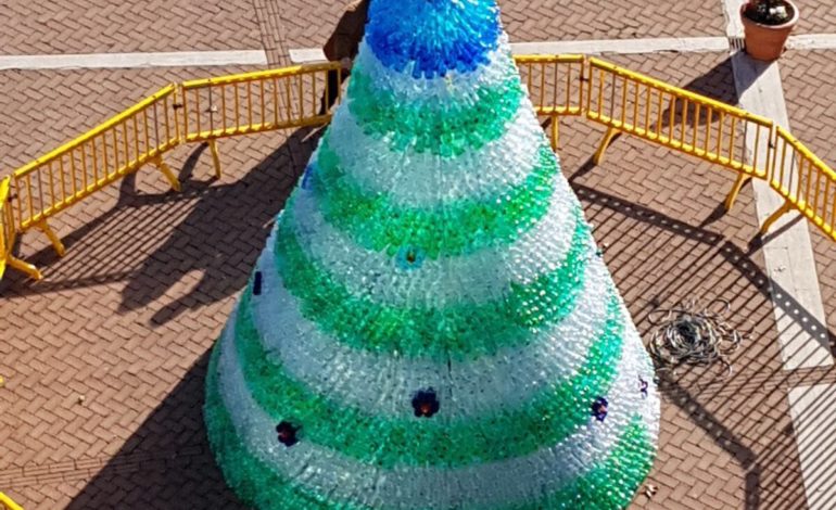 Albero Di Natale Ecologico.A San Cesareo L Albero Di Natale Ecologico Con Bottiglie Di Plastica