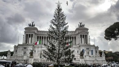 Riciclare gli alberi di Natale: anche Spelacchio avrà la sua rivincita [VIDEO]