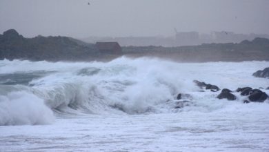 Spiagge libanesi invase da schiuma bianca densa. Le foto e il video