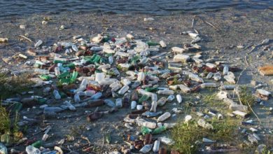 Pacifico, isola di plastica grande tre volte la Francia