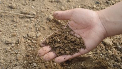 Salento, la terra è avvelenata