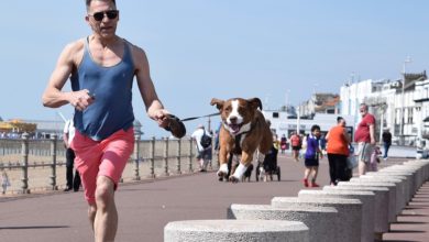 Correre con il proprio cane: quali sono le razze più adatte