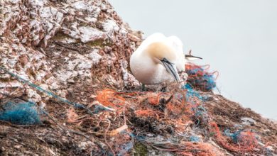 Mumbai: messa al bando definitivamente la plastica monouso