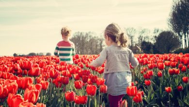 Vivere in mezzo al verde fa bene al cervello dei bambini: lo studio