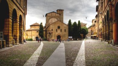 Bologna, un bosco temporaneo in piazza Santo Stefano