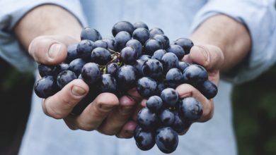 Oggi il World Food Day, contro la fame e la malnutrizione