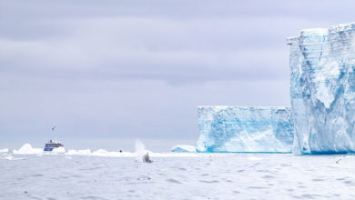 Iceberg Pezzi