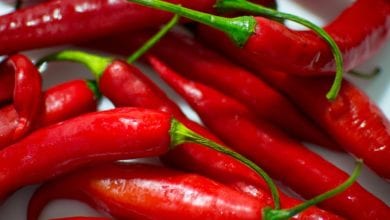 Peperoncino Metabolismo