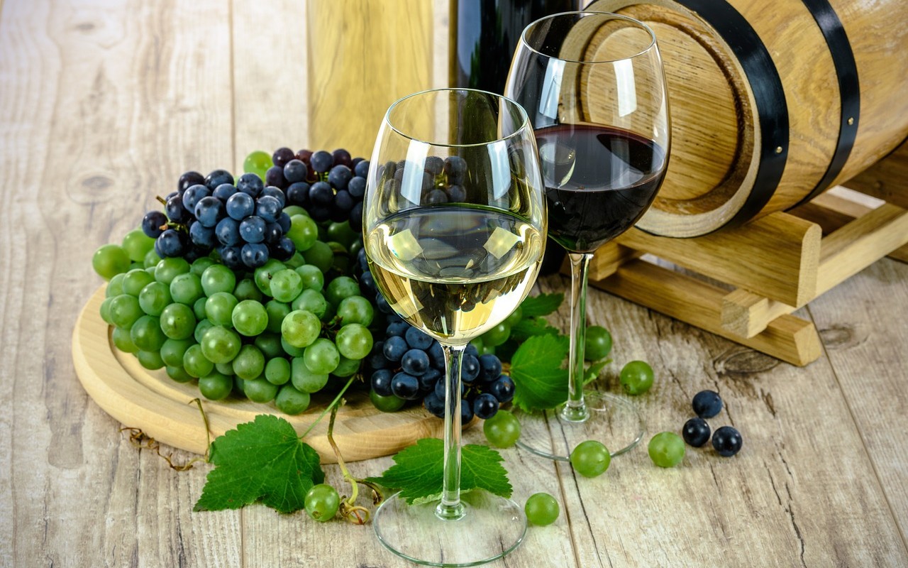 vini italiani sostenibili