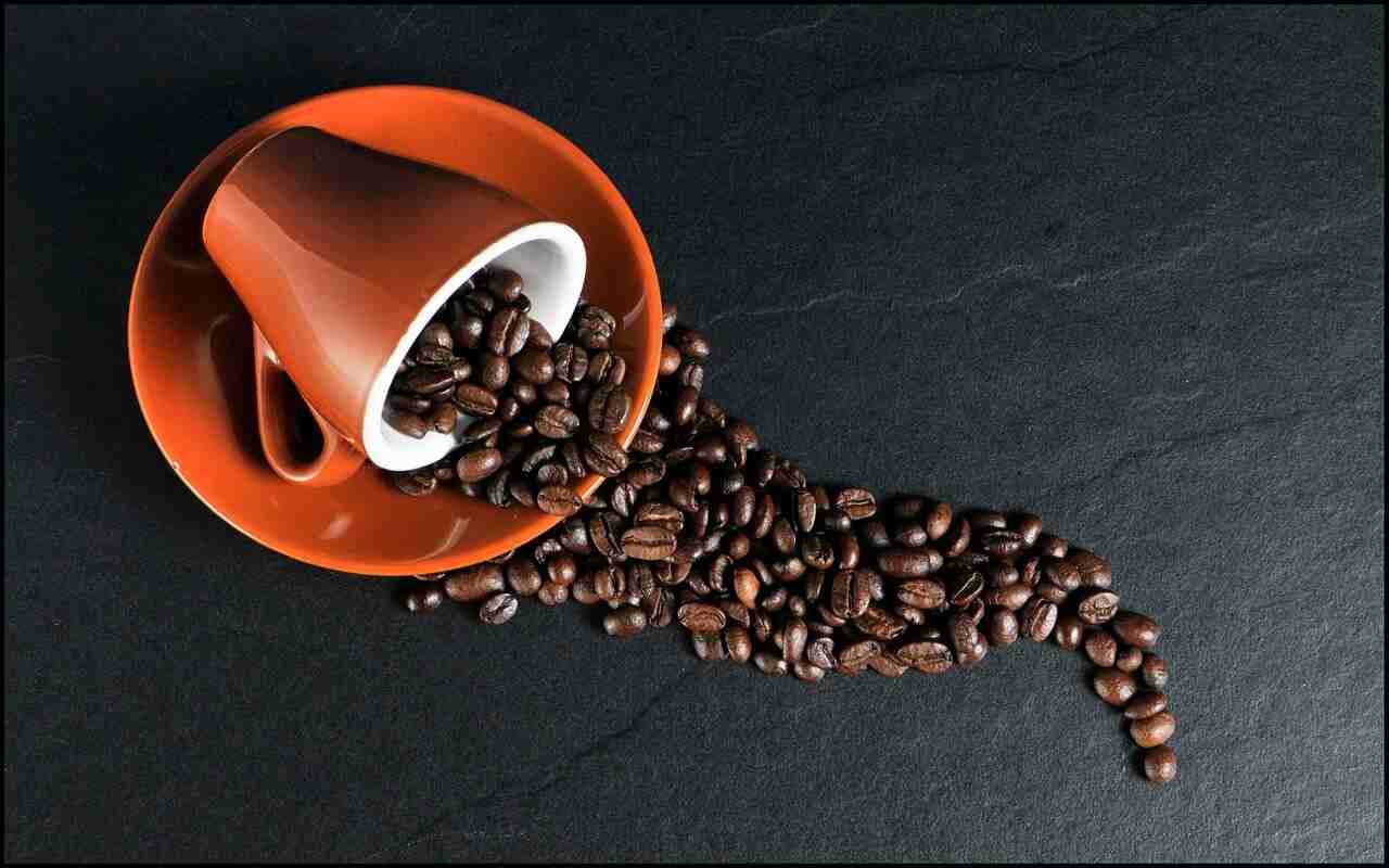Caffè sostenibile progetti di aziende