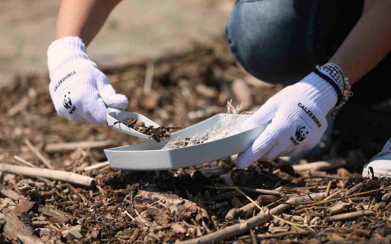 Calzedonia e WWF progetto pulizia spiagge