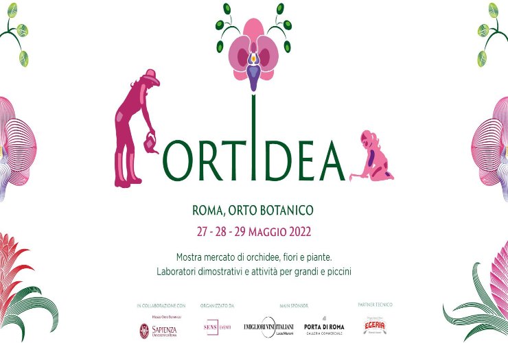 Ortidea