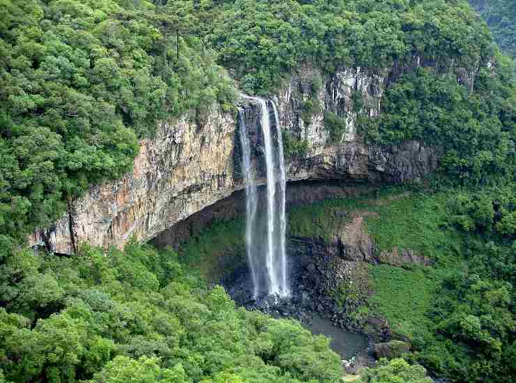 Foresta pluviale in Brasile