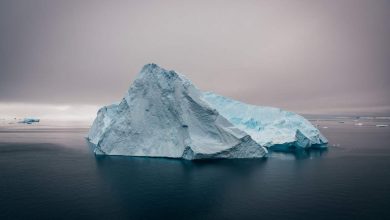 Iceberg staccato in Antartide