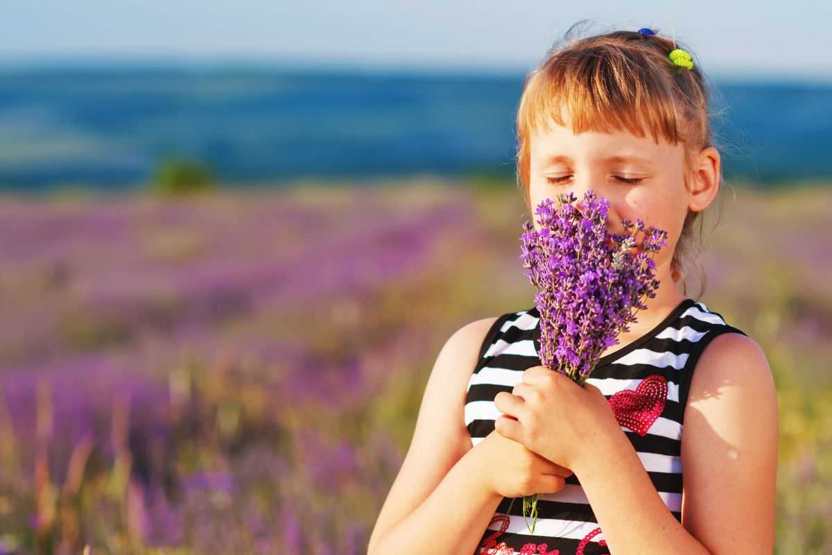 Le piante resistenti al caldo