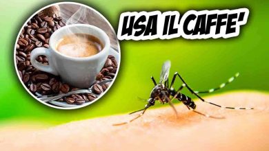 caffè contro le zanzare: ecco come fare