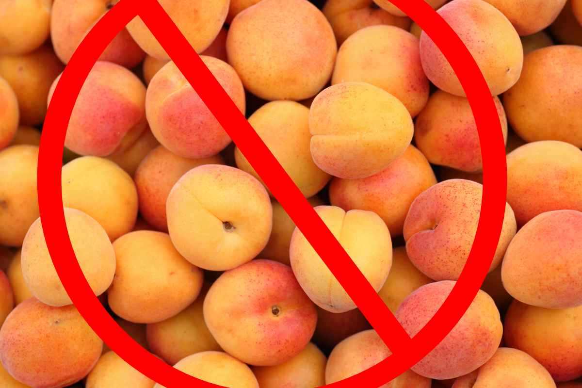 Apricot starvation