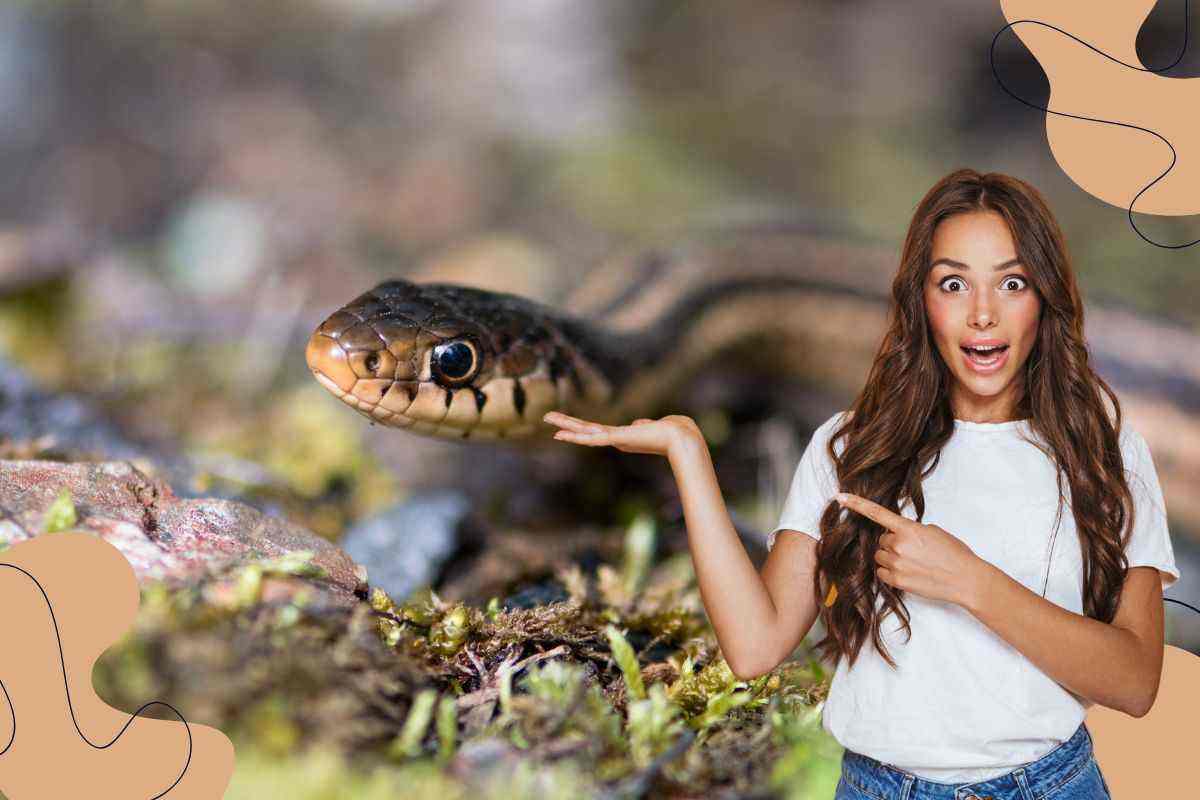 serpenti velenosi nei giardini italiani