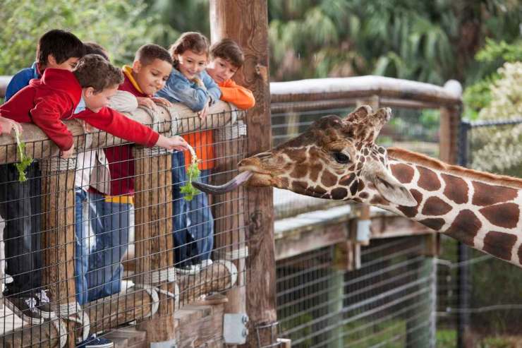 Zoo più belli d'Italia