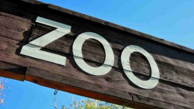 Zoo più belli d'Italia