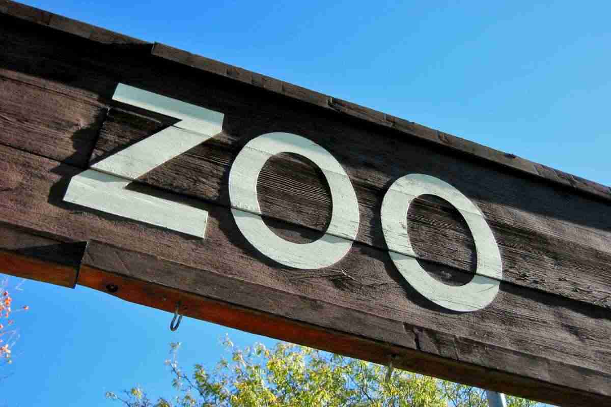 Zoo più belli d'Italia