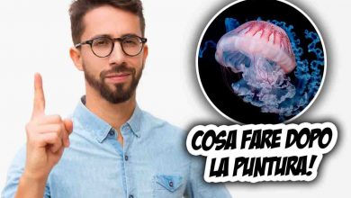 rimedi contro la puntura della medusa