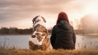 Trekking a quattro zampe: i meravigliosi benefici per te e il tuo cane