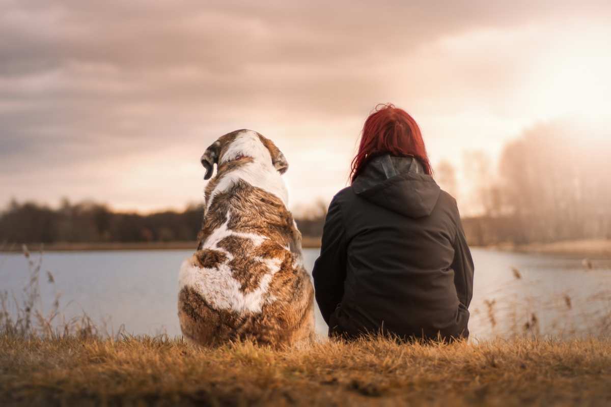 Trekking a quattro zampe: i meravigliosi benefici per te e il tuo cane