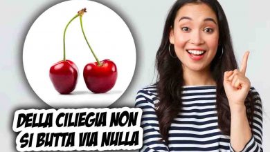 Riutilizzare noccioli della ciliegia