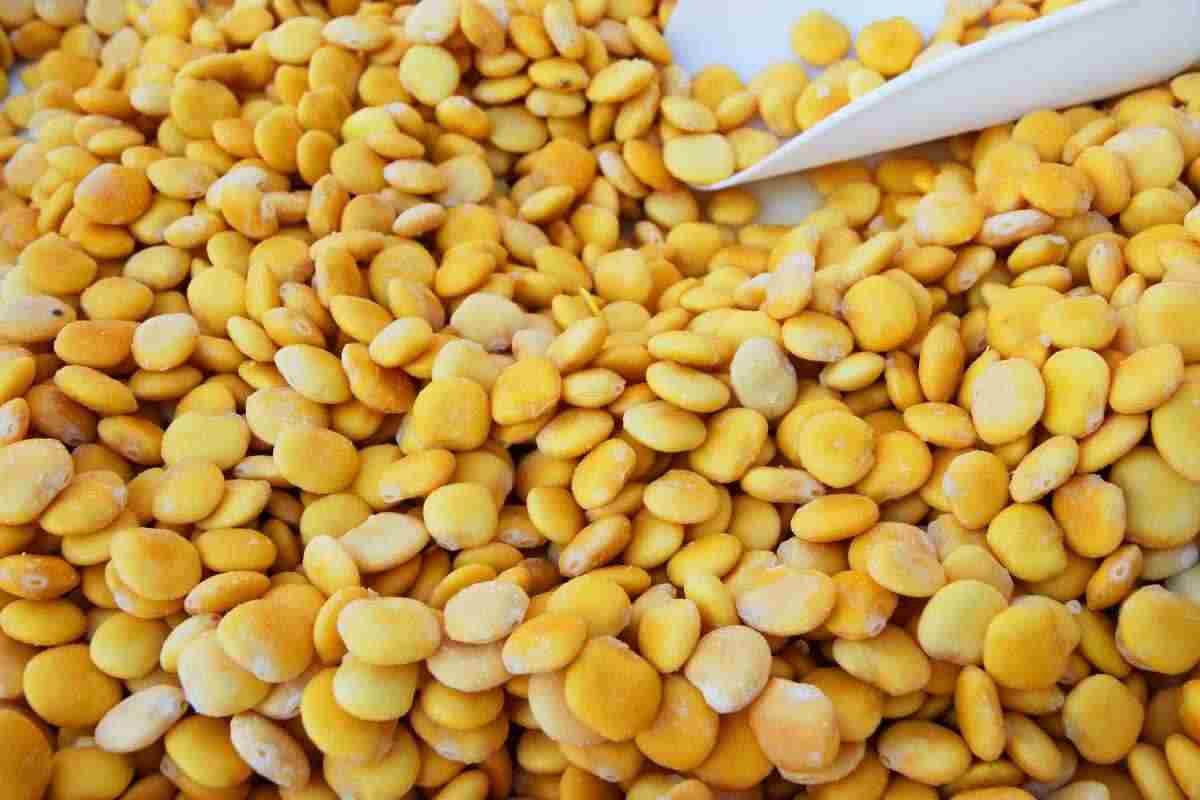 lupini miglior legume