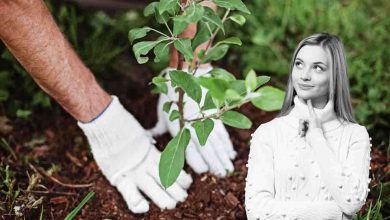 a novembre è già tempo di pensare alla Primavera