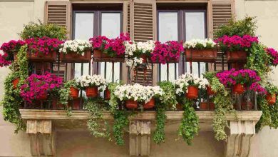 Balcone fiorito anche a Natale