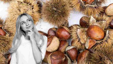 come conservare le castagne