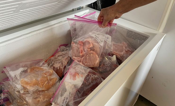 Quanto può rimanere al massimo il cibo nel freezer