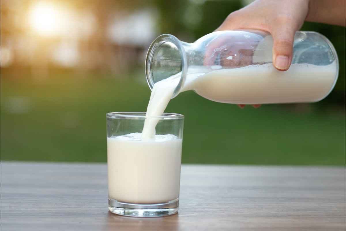 test latte salvagente