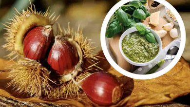 come fare pesto di castagne