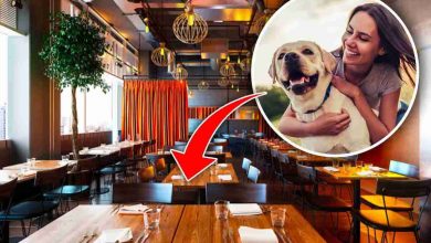 apre il primo ristorante per cani