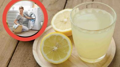 Succo di limone per la tua lavatrice