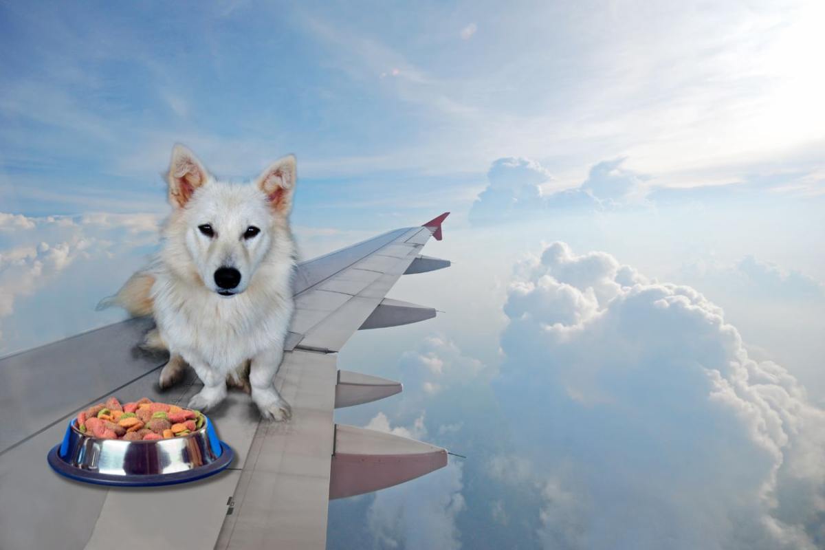 Cibo per animali in aereo