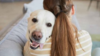 I cani si accorgono se sei malato dal tuo odore