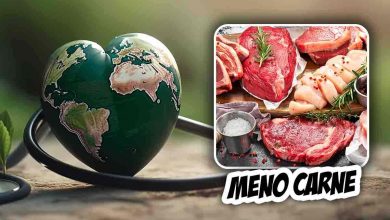 soluzioni per consumare meno carne