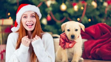 non regalare un cane a natale