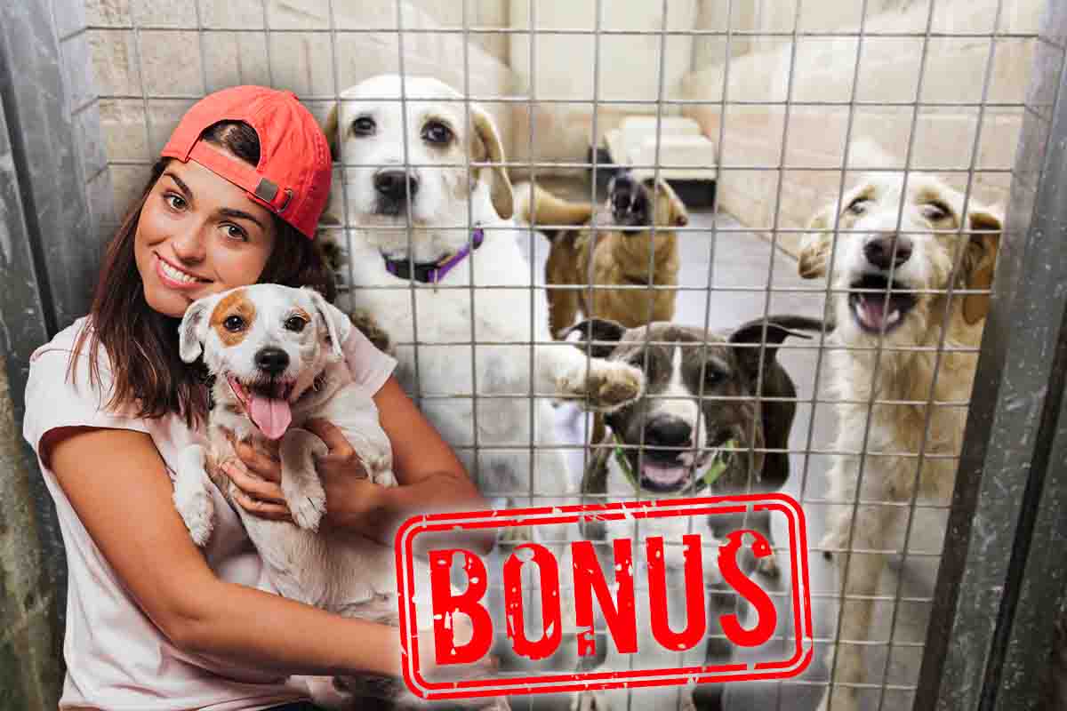 Bonus da 200 euro per chi adotta un cane