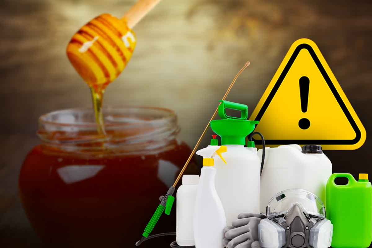 Trovato pesticida nel miele è allarme