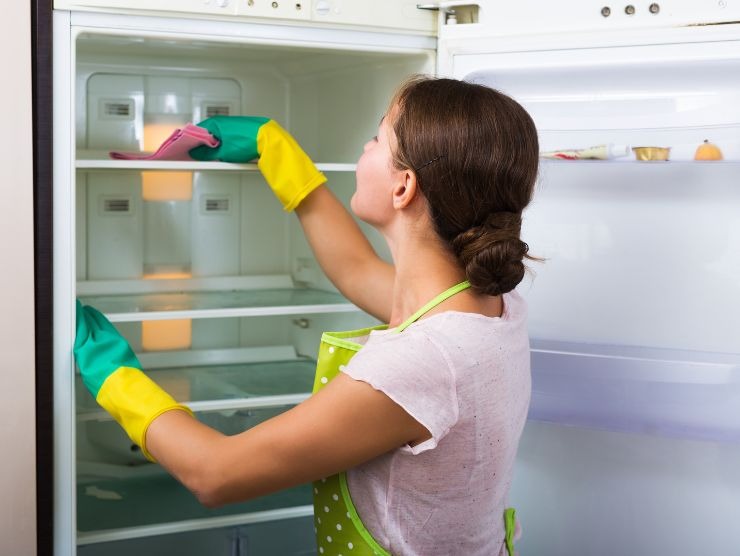 pulire frigo 1 volta all'anno