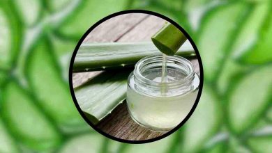 benefici e cura dell'aloe vera