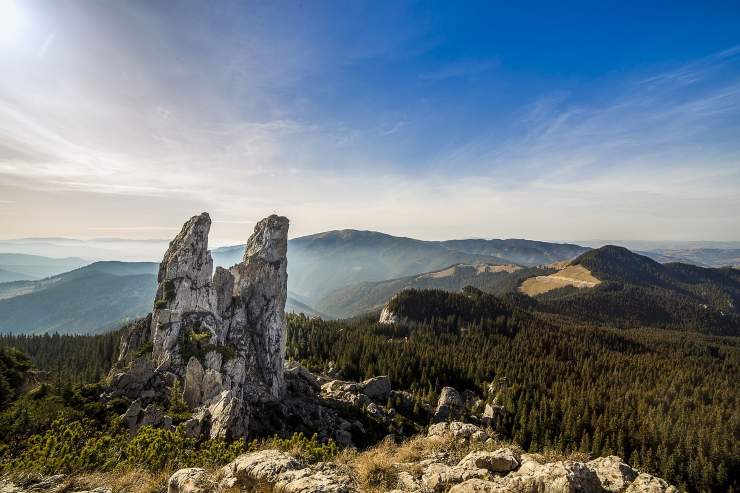 tutela foreste in romania