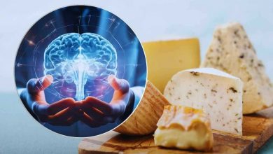 formaggi e salute del cervello